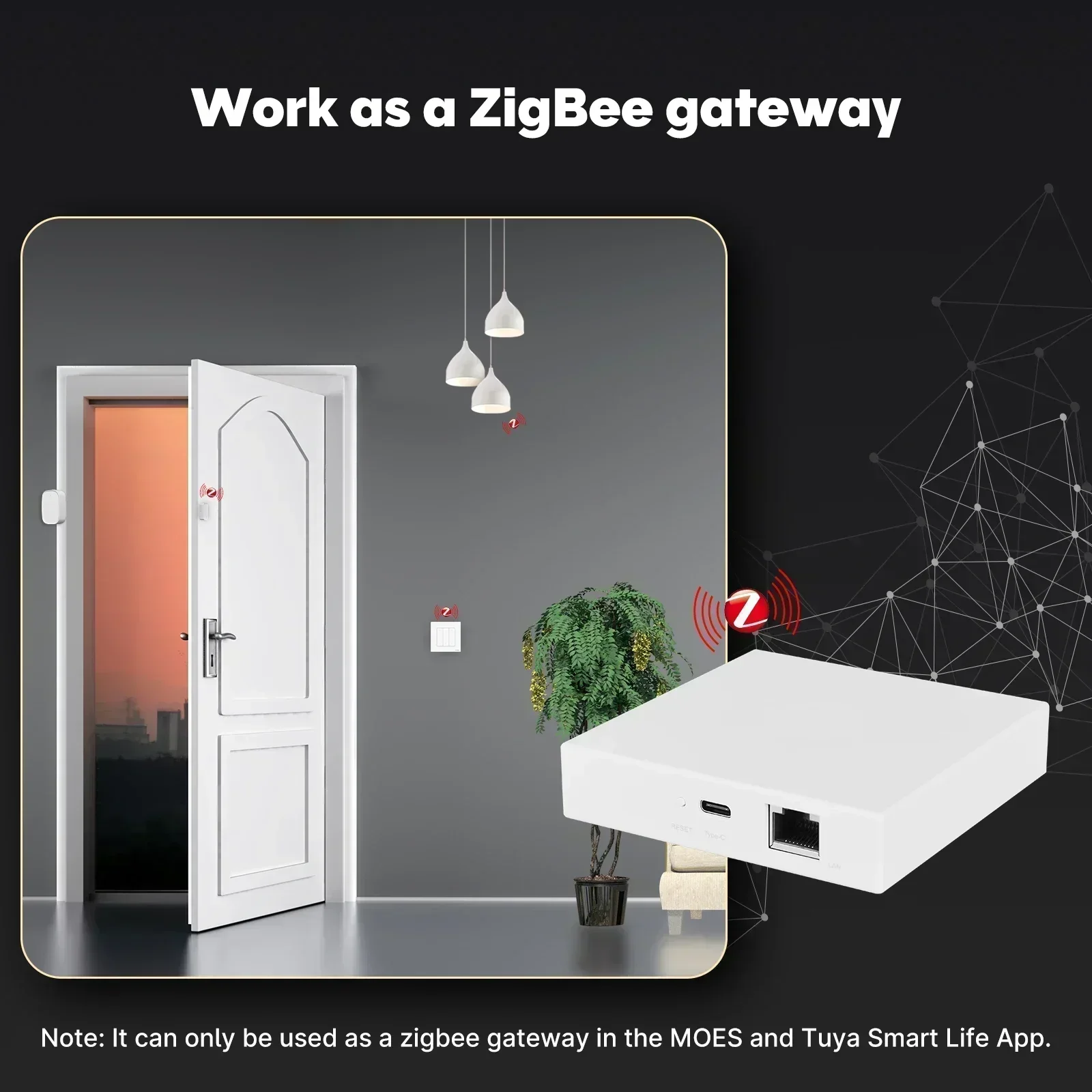 MOES Tuya Zigbee Matter Thread - đánh giá và giá Diy Home Electronics
